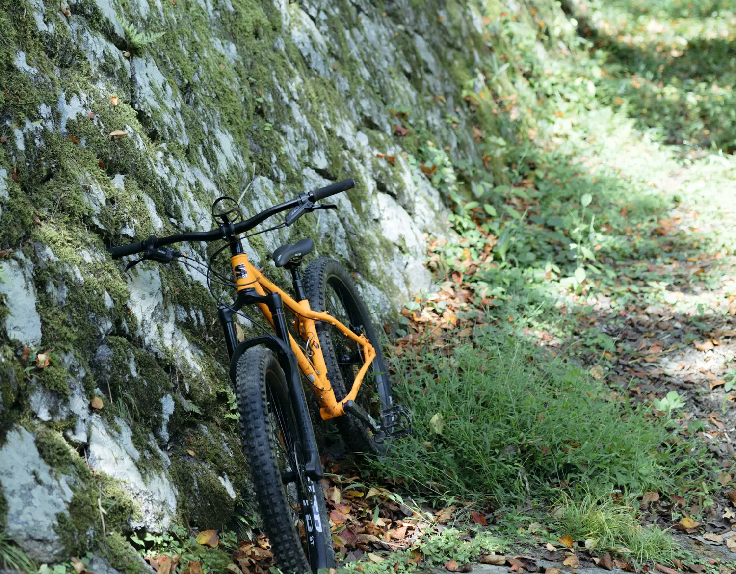 mtb_03.jpg.webp